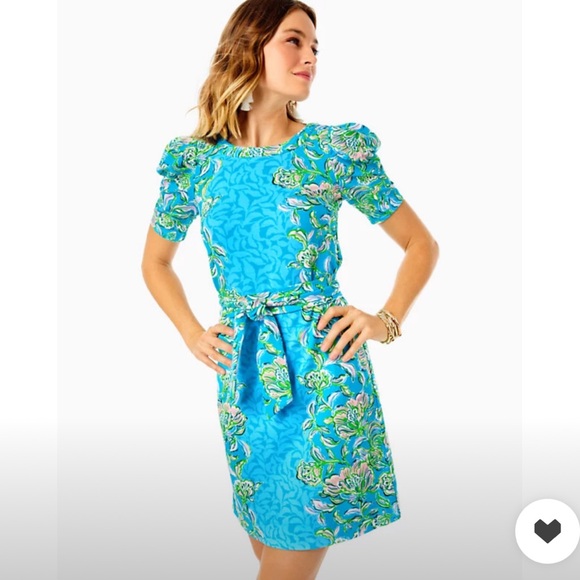 Lilly Pulitzer Harriet Dress - Picture 1 of 4